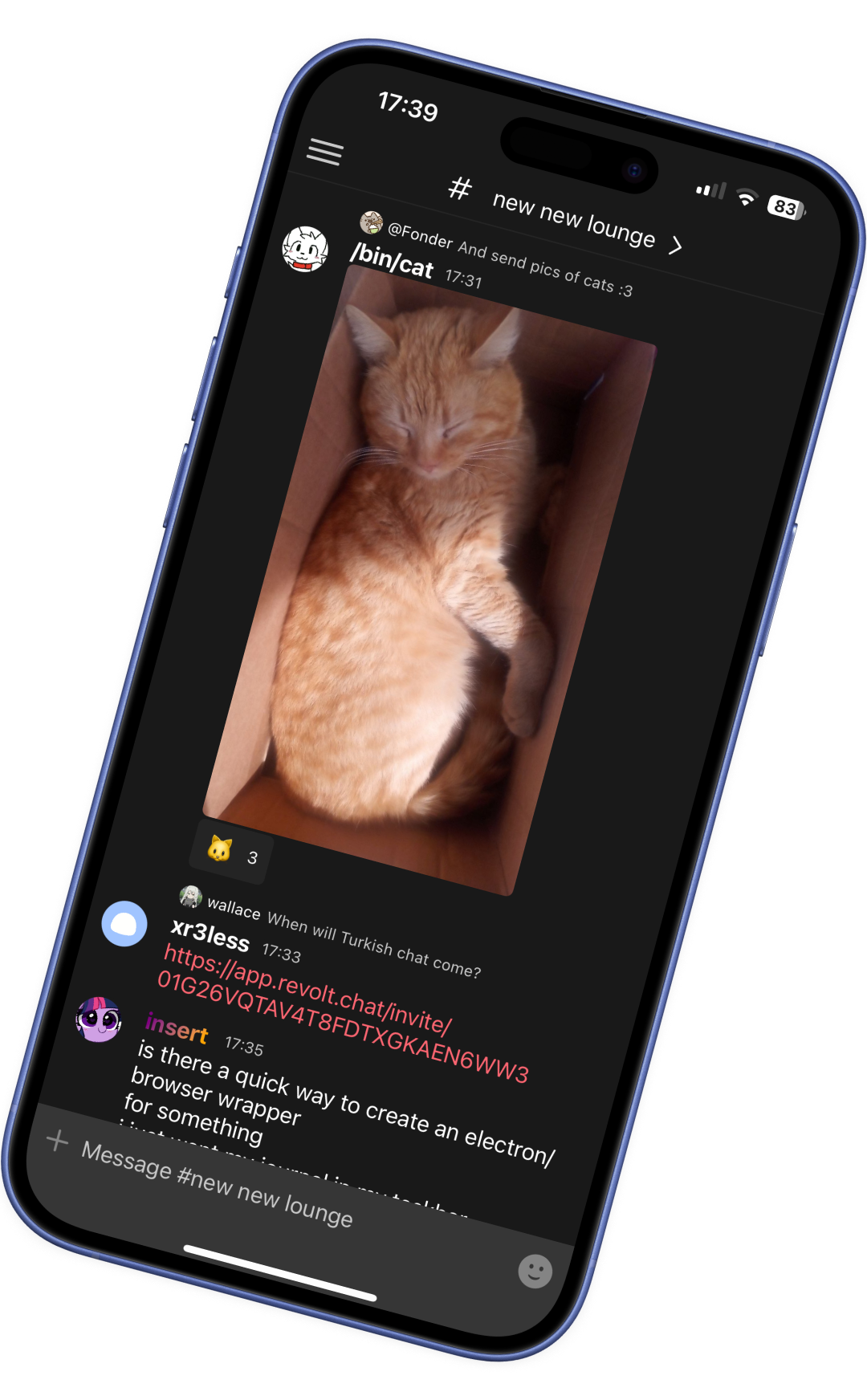 Screenshot of HypeChat on an iPhone